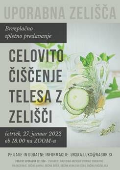 delavnica_ciscenje z zelisci.jpg